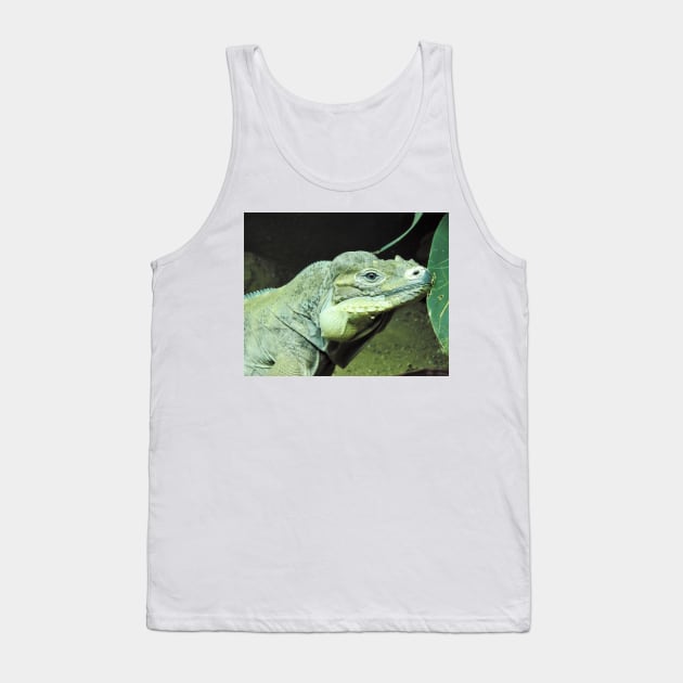 Rhinoceros Iguana Tank Top by kirstybush